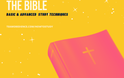 How to study the bible