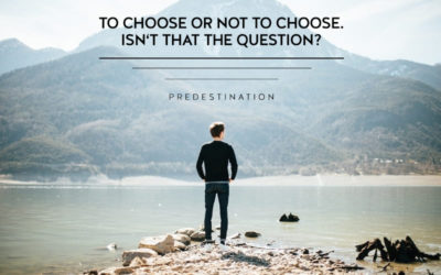 What is Predestination and is it Biblical